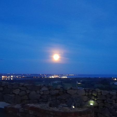 Fairy Cove At Rosemount Glamping Ξενοδοχείο Carlingford Εξωτερικό φωτογραφία