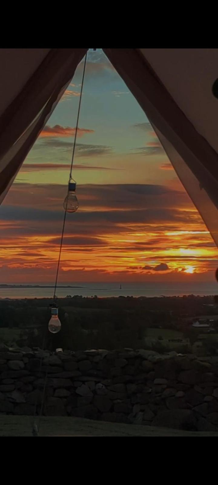Fairy Cove At Rosemount Glamping Ξενοδοχείο Carlingford Δωμάτιο φωτογραφία