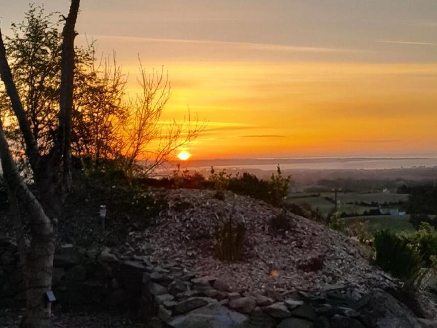 Fairy Cove At Rosemount Glamping Ξενοδοχείο Carlingford Εξωτερικό φωτογραφία