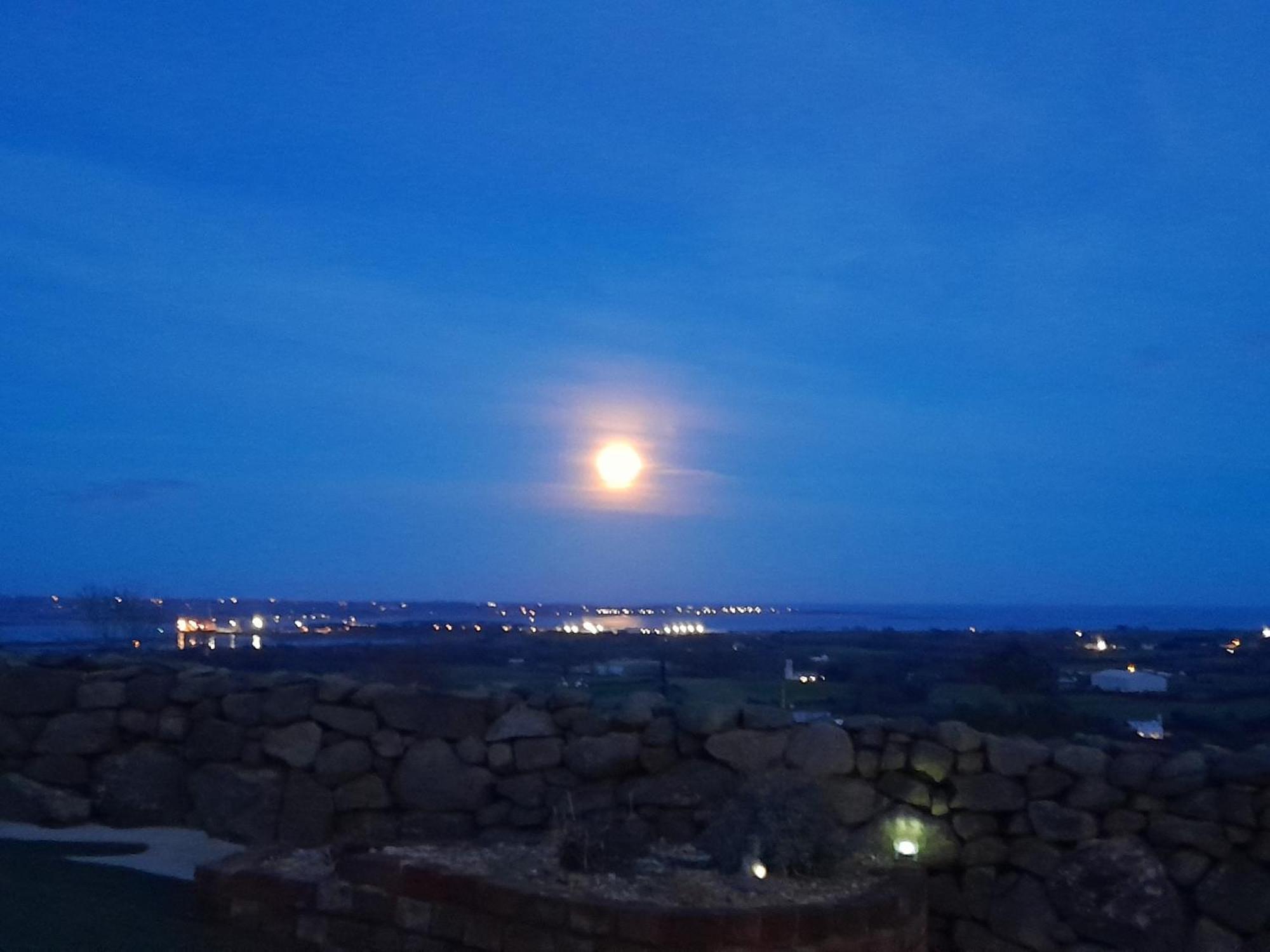 Fairy Cove At Rosemount Glamping Ξενοδοχείο Carlingford Εξωτερικό φωτογραφία