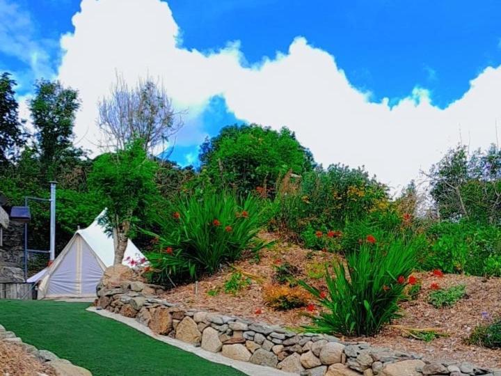 Fairy Cove At Rosemount Glamping Ξενοδοχείο Carlingford Εξωτερικό φωτογραφία